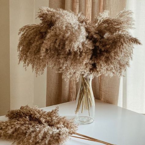 full pampas bouquets Brown Pampas, Grass Bouquet, Christmas Wedding Decorations, Pampas Grass Bouquet, Boho Style Decor, Dried Pampas, Garden Shears, Grass Decor, Pampas Grass Decor