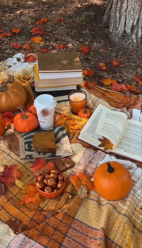 Autumn Picnic, Studera Motivation, Fall Boards, Fall Picnic, Fall Mood Board, Fall Bucket List, Pumpkin Spice Season, Fall Inspo, Fall Feels