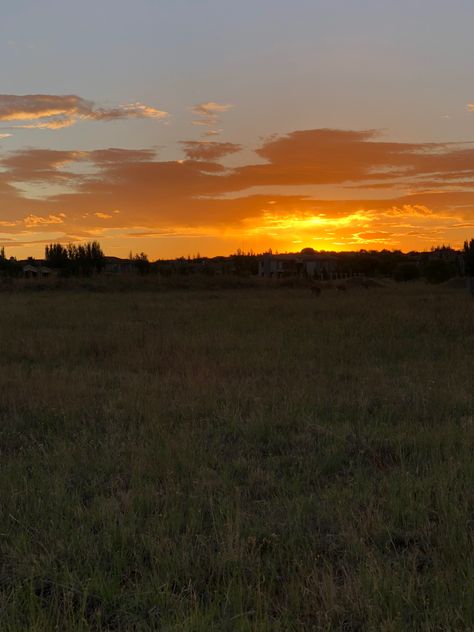 Sunset. Nature. Bloemfontein. South Africa Bloemfontein South Africa, Sunset Nature, South Africa, Bucket List, Beautiful Places, Collage, Pins, Quick Saves, Nature