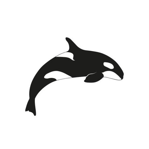 3,657 Killer Whale Illustrations & Clip Art - iStock Whale Sketch, Killer Whale Tattoo, Whale Species, Orca Tattoo, Animal Canvas Paintings, Whale Tattoo, Brain Illustration, Whale Drawing, Whale Illustration