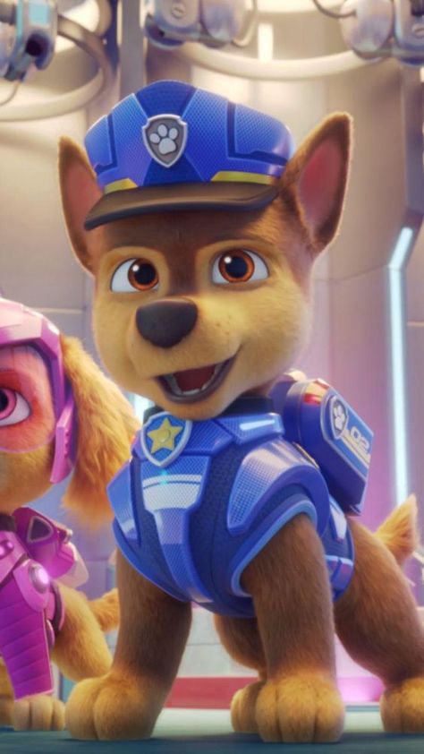 Paw Patrol Videos, Paw Patrol The Mighty Movie, Paw Patrol Birthday Theme, Paw Patrol Movie, Zuma Paw Patrol, Ryder Paw Patrol, Paw Patrol Cartoon, Rubble Paw Patrol, Paw Patrol Coloring