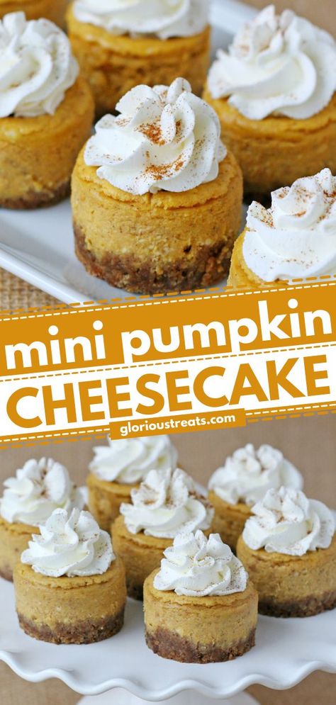 Mini Pumpkin Cheesecake, thanksgiving desserts, fall baking recipes Individual Pumpkin Cheesecake Cups, Pumpkin Cheesecake Tarts, Thanksgiving Desserts Pumpkin Cheesecake, Small Pumpkin Cheesecake Recipe, Mini No Bake Pumpkin Cheesecake, Thanksgiving Recipes Dessert Cheesecake, Thanksgiving Small Desserts, Small Batch Pumpkin Cheesecake, Mini Sweet Potato Cheesecake