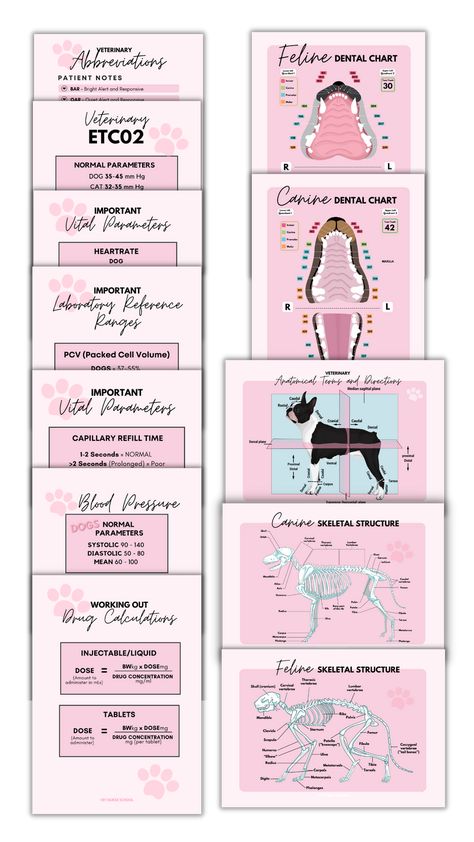 Vet Nurse Poster & Pocket Guides PINK EDITION Vet Nurse Notes, Vet Assistant Tips, Vet Nurse Student, Vet Assistant Notes, Vet Nurse, Vet Tech Prep, Vet Tech Notes, Vet Tech School Supplies, Vet Tech Anatomy And Physiology