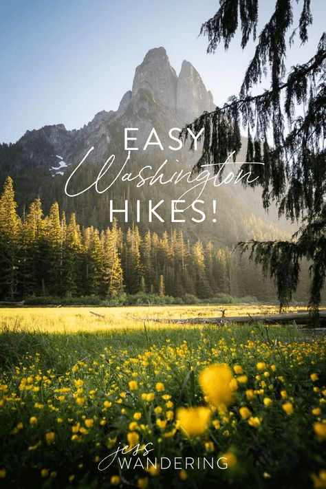 Easy Hikes In Washington That Are Actually Worth It Pnw Hikes, Jess Wandering, Washington Road Trip, Rainy Lake, Washington State Hikes, Fire Lookout, Pacific Northwest Travel, Washington State Travel, Washington Hikes