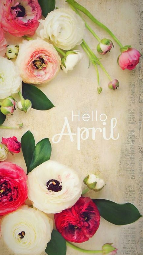 Welcome April, April Wallpaper, New Month Wishes, April Month, Neuer Monat, April Quotes, Seasons Months, Hello April, Days And Months