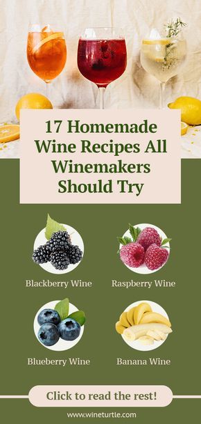 Do you love to make your own homemade wines? In this post, we will be sharing 17 homemade wine recipes you should try!   #typesofwine #winerecipes, wine recipe Fruit Wine Recipes, Banana Wine, Wine Making Recipes, Homemade Wine Recipes, Blueberry Wine, Mead Wine, Raspberry Wine, Mead Recipe, Homemade Alcohol