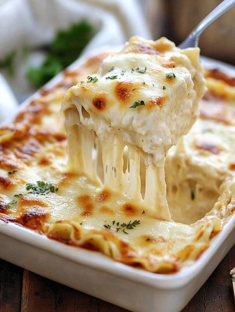 Creamy White Chicken Lasagna, Pasta Dinner Dishes, Tuscan Chicken Lasagna, Creamy Chicken Lasagna Recipe, Chicken Lasagna With White Sauce, White Chicken Lasagna Roll Ups, Creamy Chicken Lasagna With White Sauce, Different Lasagna Recipes, Chicken Lasagne Recipes