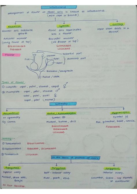 Morphology Of Flowering Plants, Plant Morphology, Branches Of Biology, Neet Notes, Redox Reactions, Learning Stories, Short Notes, Chemistry Lessons, Study Flashcards