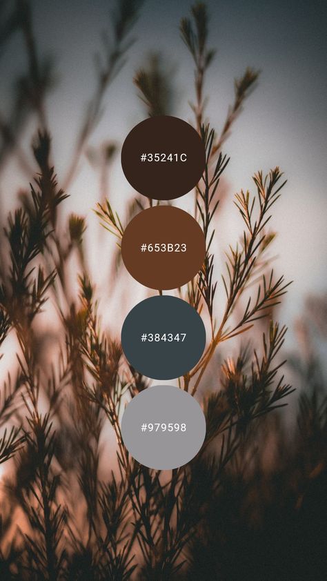 Woodsy Colour Palette, Brown Stone Color Palette, Brown Leather Color Palette, Espresso Brown Color Palette, Copper Color Palette Colour Schemes, Hunting Lodge Color Palette, Rugged Color Palette, Navy Brown Color Palette, Canva Fall Color Palette