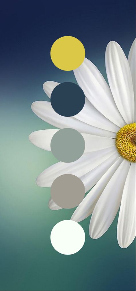 Daisy colour pallete. #colourpallete Daisy Colour Palette, Daisy Color Palette, Website Colors, Beige Color Palette, April Flowers, Font Pairings, Book Templates, Font Pairing, Branding Inspo