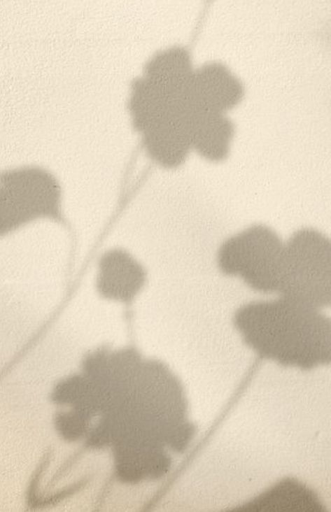 Flower Shadow Aesthetic, Plant Shadow Aesthetic, Tan Beige Aesthetic, Soft Glow Aesthetic, Homescreen Minimalist, Iphone Lockscreen Homescreen, Shadow Background, Ethereal Design, Shadow Painting