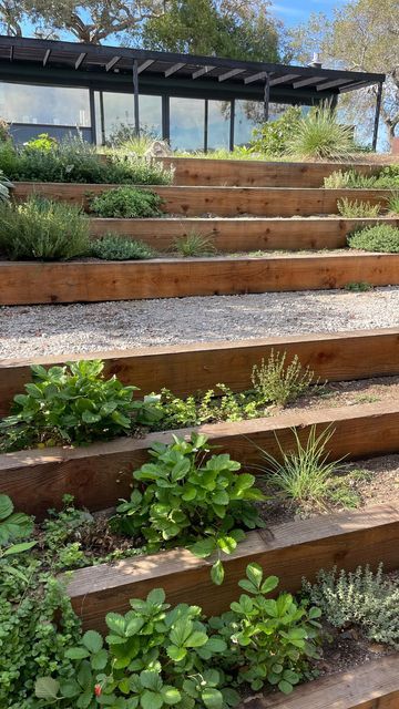 Shallow Garden Steps, Sloped Garden Steps, Stepped Flower Beds, Stair Garden Outdoor, Step Garden Beds, Terraced Steps Walkways, Outdoor Garden Steps Ideas, Floating Garden Steps, Terraced Veggie Garden