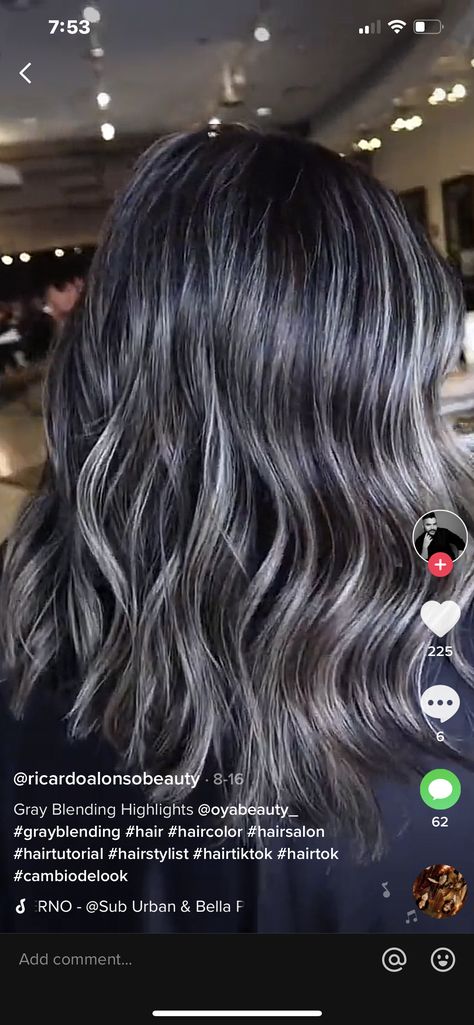 Gray Roots Blending Black Hair, Grey Hair Blending Ideas Brunette, Grey Hair At 30, Gray Roots Blending, Ash Silver Balayage, Gray Balayage On Dark Hair, Black Hair With Ash Highlights, How To Go Grey, Blended Brunette