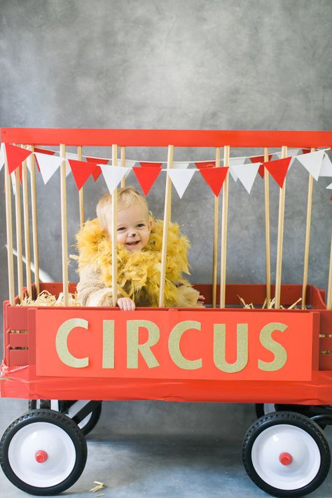 Circus lion costume! http://www.stylemepretty.com/living/2015/10/07/diy-halloween-costume-circus-lion/ | Photography: Ruth Eileen - http://rutheileenphotography.com/ Wagon Halloween Costumes, Wagon Costume, Circus Halloween Costumes, Circus Wagon, Lion Halloween Costume, Lion Halloween, Circus Lion, Twin Halloween, Baby Kostüm