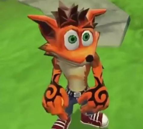 Crash Bandicoot Wallpapers, Crash Bandicoot Art, Video Game Pfp, Crash Of The Titans, Crash Bandicoot Characters, Chill Mood, Childhood Games, Funny Animal Photos, Crash Bandicoot