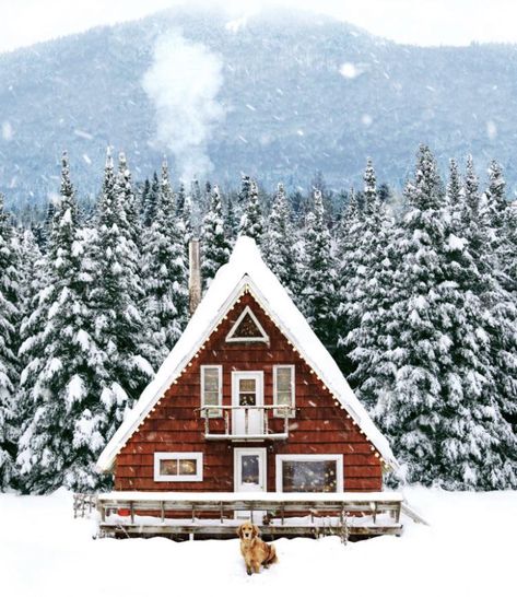 Small House Pictures, Snow House, Winter Cabin, A Frame Cabin, Terraria, Tiny House Movement, A Cabin, A Frame House, Tiny House Cabin