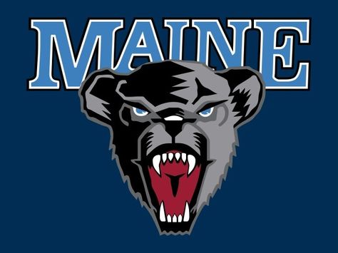 University of Maine Ncaa Basketball Logo, Orono Maine, Bear Logo Design, College Vision Board, Bears Logo, Usa University, University Of Maine, Black Bears, College Logo