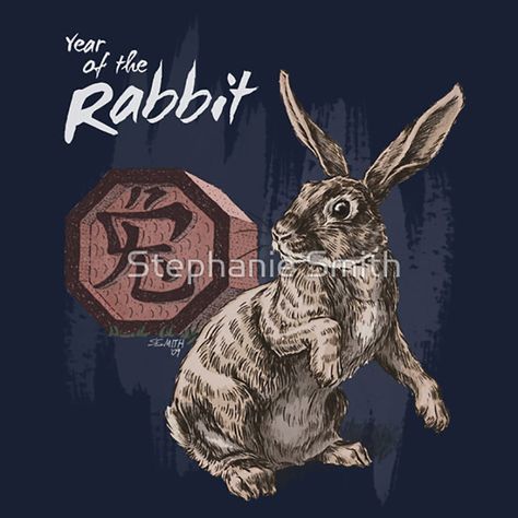 Chinese Zodiac Signs Rabbit, Chinese Zodiac Art, Chinese Signs, Chinese Zodiac Rabbit, Jackie Chan Adventures, The Year Of The Rabbit, Rabbit Colors, Rabbit Drawing, Zodiac Years