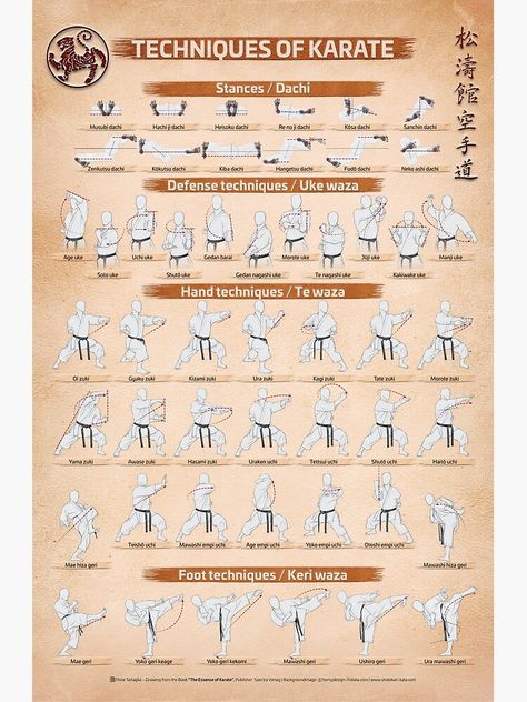 "TECHNIQUES OF KARATE POSTER by Fiore Tartaglia" Poster by Shotokan-Kata | Redbubble Shotokan Karate Techniques, Kyokushin Karate Kata, Kyokushin Karate Techniques, Kyokushin Karate Art, Kyokushin Karate Training, Karate Exercises, Karate Training Exercises, Karate Workout, Karate Techniques