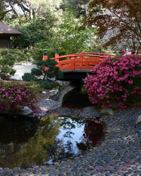 Japanese Gardens and Lilacs in Bloom at Descanso Gardens in La Cañada Flintridge, Los Angeles Descanso Gardens, Brick Patterns Patio, Landscape Reference, Luxury Garden Furniture, Ancient Chinese Architecture, Lush Lawn, Meteor Garden 2018, Magic Garden, Beautiful Yards