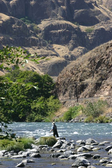 Deschutes River- gorgeous contrasts all over the place Deschutes River, Fishing Photos, Fishing Pictures, Sport Fishing, Oregon Travel, Going Fishing, Trout Fishing, Pacific Northwest, Rafting