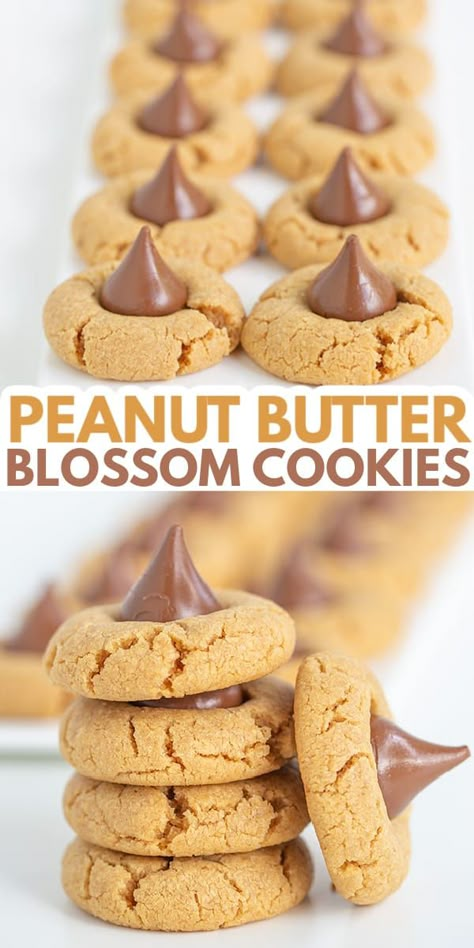 Peanut Butter Blossoms - These are the best Peanut Butter Blossoms! They're made with butter, loads of peanut butter, and the perfect balance of brown sugar and granulated sugar. Pop a chocolate kiss in the center and they're ready for serving! This is the Hershey Kiss Cookie recipe that you have to try! #cookiedoughandovenmitt #peanutbutter #cookies #dessert Hershey Kiss Cookie, Best Peanut Butter Blossoms, Kiss Cookie, Kiss Cookie Recipe, Peanut Butter Blossoms Recipe, Peanut Butter Blossom, Peanut Butter Kiss, Peanut Butter Kiss Cookies, Peanut Butter Dessert Recipes