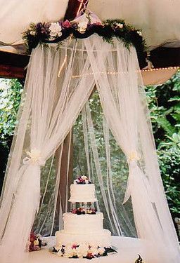 Outdoor wedding Cake = bugs? | Weddings, Do It Yourself, Planning, Style and Decor | Wedding Forums | WeddingWire Outdoor Wedding Cake, Fun Wedding Decor, Outdoor Stage, Wedding Outdoor, Outdoor Wedding Decorations, Decor Wedding, Wedding Planners, Bridal Veil, Backyard Wedding