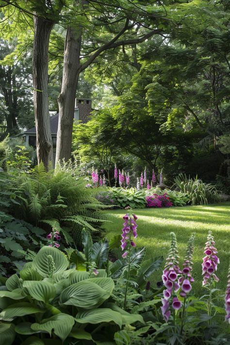 Large Shade Gardens, Kansas Gardening, Ginger Gardening, English Garden Landscaping, Tall Shade Plants, Shade Loving Plants, Garden 101, Front Porch Plants, Shade Landscaping