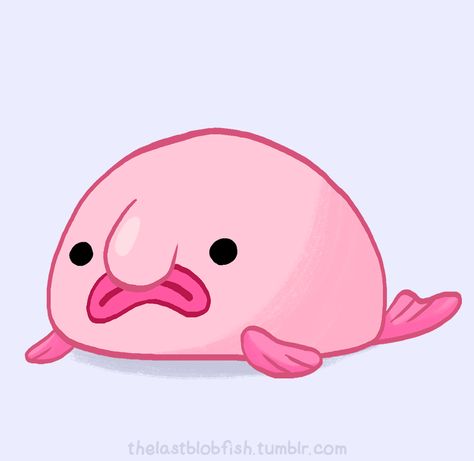 Blobby the Blobfish Sneep Snorp, Animal Kindergarten, Blob Fish, Chibi Animals, Strange Animals, Punny Puns, Button Ideas, Weird Fish, Fish Fish