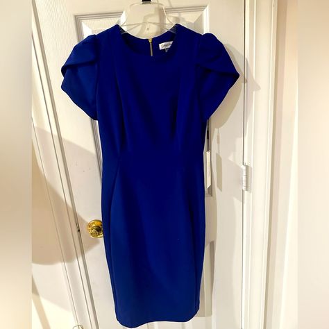 Beautiful, Blue, Nwt, Calvin Klein, Size 4 Dress Smoke Free, Pet Friendly Home Dresses Beautiful, Klein Blue, Calvin Klein Dresses, Womens Calvin Klein, Beautiful Blue, Pet Friendly, Calvin Klein, Color Blue, Size 4