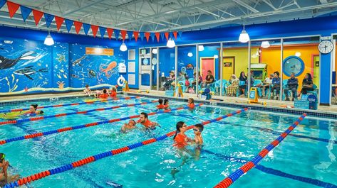 GoldFish Swim School is teaching more than 1 million kids to swim ensuring all kids have the skills to be safe in the water. Children Swimming Pool, Family Swimming, Small Business Trends, Swimming Classes, Swim School, Water Safety, Swim Team, Swim Lessons, All Kids