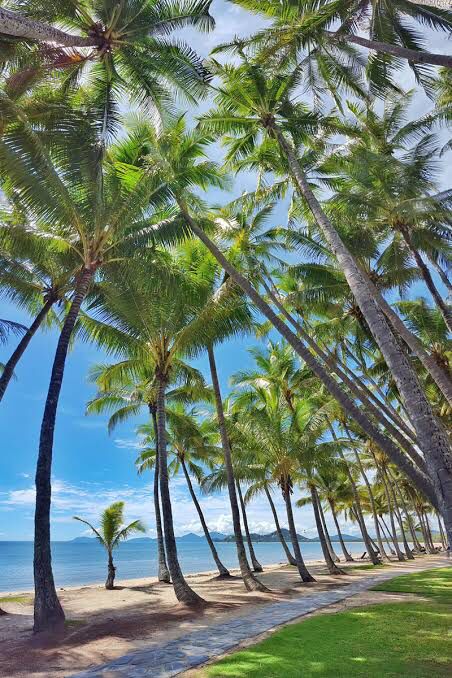 Village By The Sea, Cairns Queensland, Palm Cove, Cairns Australia, Australian Beach, Tropical Holiday, Backgrounds Phone Wallpapers, Cairns, Holiday Inspiration