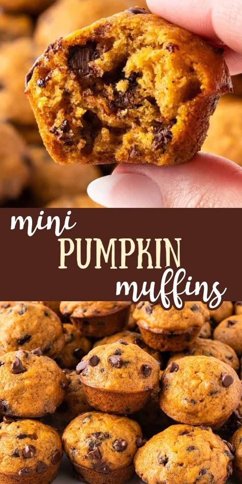 Cinnamon Spice Pumpkin Mini Muffins, Skinnytaste Mini Pumpkin Chocolate Chip Muffins, Pumpkin Bread Mini Muffins, Pumpkin Oat Mini Muffins, Pumpkin Muffins Mini, Mini Muffins Breakfast, Mini Fall Desserts Treats, Muffin Recipes Mini, Healthy Mini Pumpkin Muffins