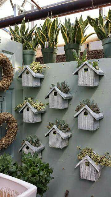 Succulents birdhouse House Planter, Diy Flores, نباتات منزلية, Vertical Gardens, Concrete Garden, Backyard Fences, Cactus Y Suculentas, Deco Floral, Bird Feeder