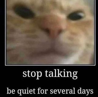 be quiet for several days Response Memes, Be Quiet, Silly Cats Pictures, Wholesome Memes, Cute Memes, Stop Talking, Silly Cats, What’s Going On, Funny Me