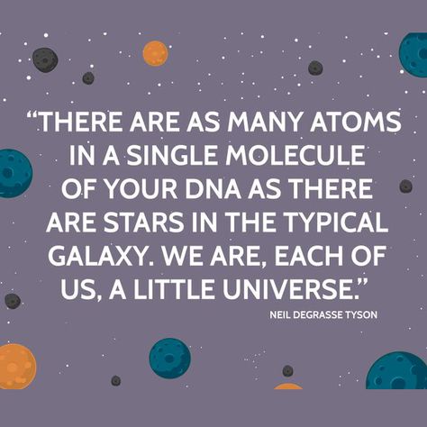 Neil Degrasse Tyson Quote, The Secret Movie, Science Quotes, Neil Degrasse Tyson, Single Quotes, E Mc2, Trendy Quotes, The Science, A Quote