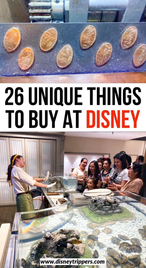 Best Disney Souvenirs, Disneyland Gifts, Disney World Souvenirs, Caribbean Holiday, Disney Inspired Food, Universal Trip, Disney Shopping, Gifts To Buy, Disney World Vacation Planning