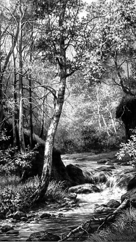 Scratchboard Art Landscape, Black And White Forest Drawing, Landscape Pencil Drawings Nature, Art Drawings Landscape, Forest Pencil Drawing, Pencil Sketches Landscape, Black Pen Drawing, Forest Sketch, Landscape Pencil Drawings