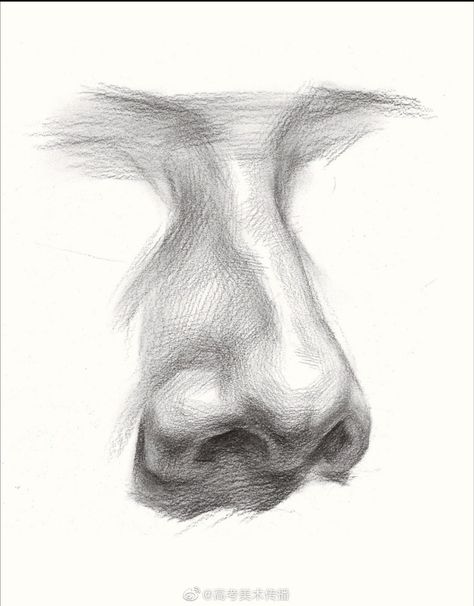 Nose Portrait Drawing, Nose Sketch Realistic, Nose Drawing Anatomy, Hyper Realistic Drawings Objects, Drawing Of Nose Bleed, Hook Nose Drawing, Eye Drawing Study, How To Paint Nose, Human Nose Drawing