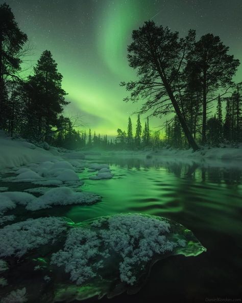 2021 Northern Lights Photographer of the Year - Capture the Atlas Northern Lights Photo, Magical Sky, Northern Lights (aurora Borealis), Boreal Forest, Photo Awards, See The Northern Lights, Landscape Features, From Instagram, Aurora Borealis