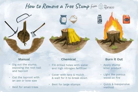 How to Remove a Tree Stump Without a Grinder Remove Tree Stump And Roots, Diy Stump Removal, Tree Stump Removal Diy, Stump Removal Diy, Tree Stump Killer, Kill Tree Stump, Tree Removal Cost, Removing Tree Stumps, Tree Stumps Diy