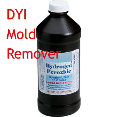 How To Make DIY Mold Remover Diy Mold Remover, Cleaning Bathrooms, How To Remove Mold, Home Shelter, Remove Mold, House Canvas, Mold Removal, Homesteading Diy, Bouncy House