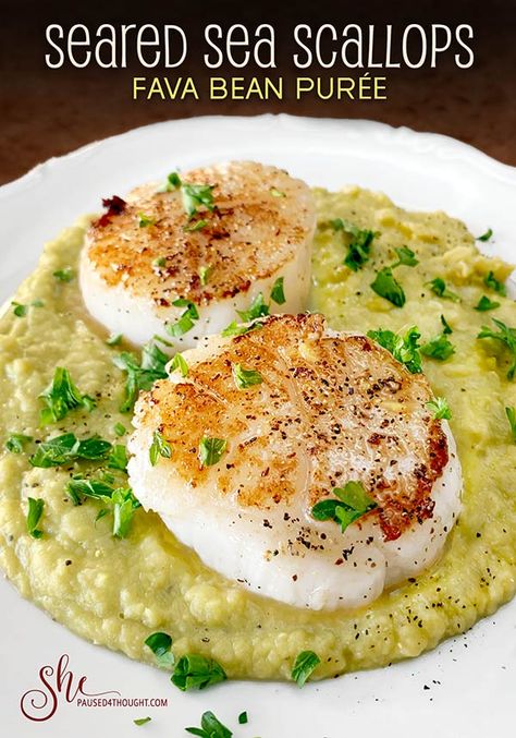 Seared Sea Scallops, Bean Puree, Green Chile Stew, Roasted Cauliflower Steaks, Fava Bean, Coconut Chia Pudding, Meat Dish, Culinary Techniques, Sea Scallops