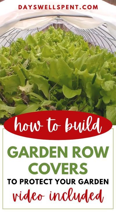 Extend your growing season with these easy to make garden row covers. #gardening #rowcovers #urbanhomestead How To Harvest Cilantro, Amazing Garden Ideas, Backyard Zen, Backyard Hacks, Easy Gardening Ideas, Backyard Vegetable Garden, Diy Landscaping Ideas, Garden Prepping, Gardening Tricks