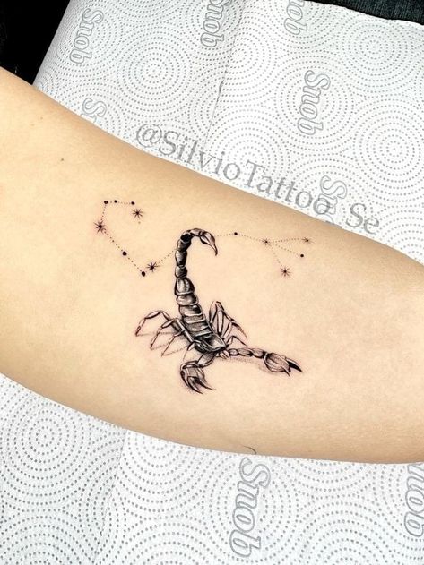 Inspo Tattoo, Scorpio Tattoo, Zodiac Tattoos, Animal Tattoos, Future Tattoos, Scorpion, I Tattoo, Tattoos And Piercings, Hand Tattoos