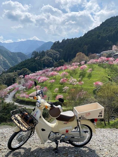 Moped Aesthetic, Honda Super Cub, Super Cub, Pretty Bike, Pretty Cars, Photo Reference, Pretty Places, Travel Aesthetic, Scooters