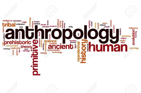 Anthropology Wallpaper, Anthropology Pictures, Anthropology Art, Anthropology Degree, Anthropology Aesthetic, Anthropology Major, Forensic Anthropology, Human Species, Career Planning