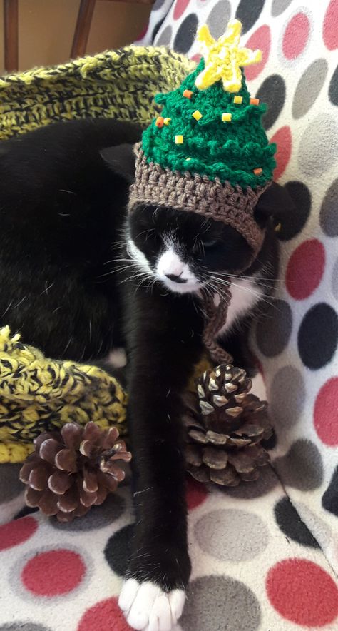 Christmas tree cat hat, Christmas cat hat,hat for cats, Christmas dog hat,kittens hat, Christmas Pet hat,Pet hat, by ColmanHandmade on Etsy Cat Beret, Cat Christmas Costumes, Christmas Dog Hat, Hat For Cat, Beret Crochet, Pet Costumes Cat, Crochet Baby Hat Patterns, Cat Halloween Costume, Pet Christmas