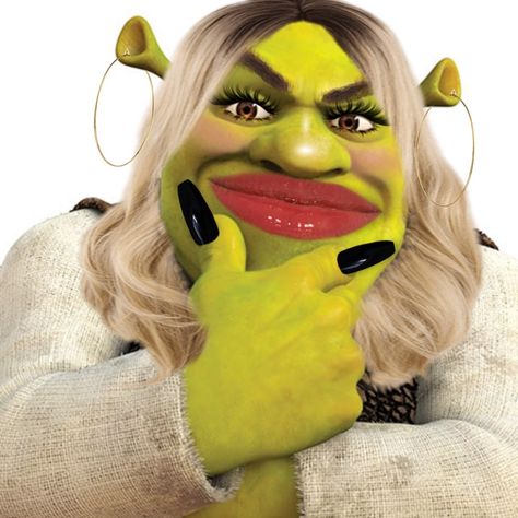 Shrek Aesthetic Cute, Shrek Funny, Preppy Aesthetic Wallpaper, Spongebob Pics, Makeup Memes, Barbie Funny, Creepy Vintage, Goofy Drawing, Funny Pix