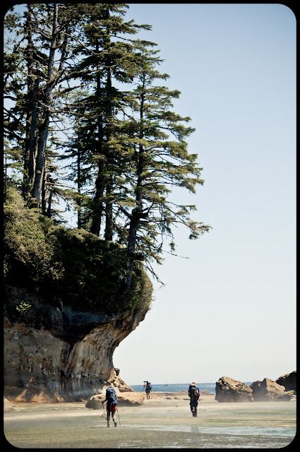 Vacation dreaming for that far-off day when I have time off: West Coast Trail, BC Canadian Scenery, British Colombia, Canadian Things, Canadian Landscape, West Coast Trail, Western Canada, Root System, Tide Pools, Recipe Inspiration